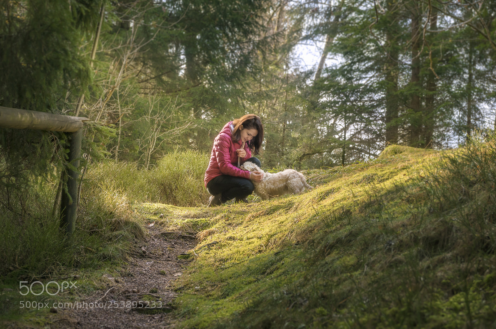 Nikon D750 sample photo. Woman caressing her dog photography