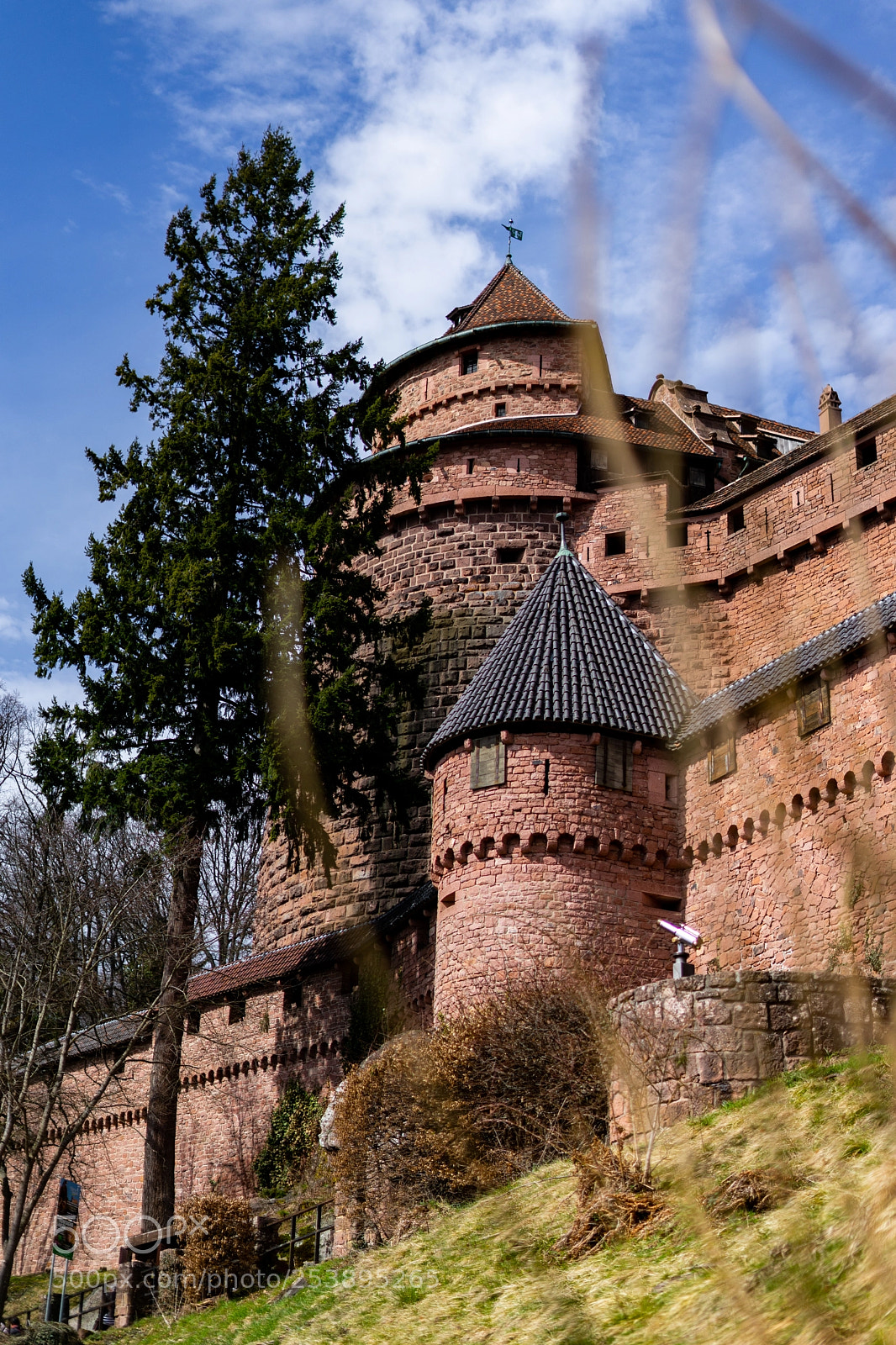 Sony a7 sample photo. Haut-koenigsbourg photography