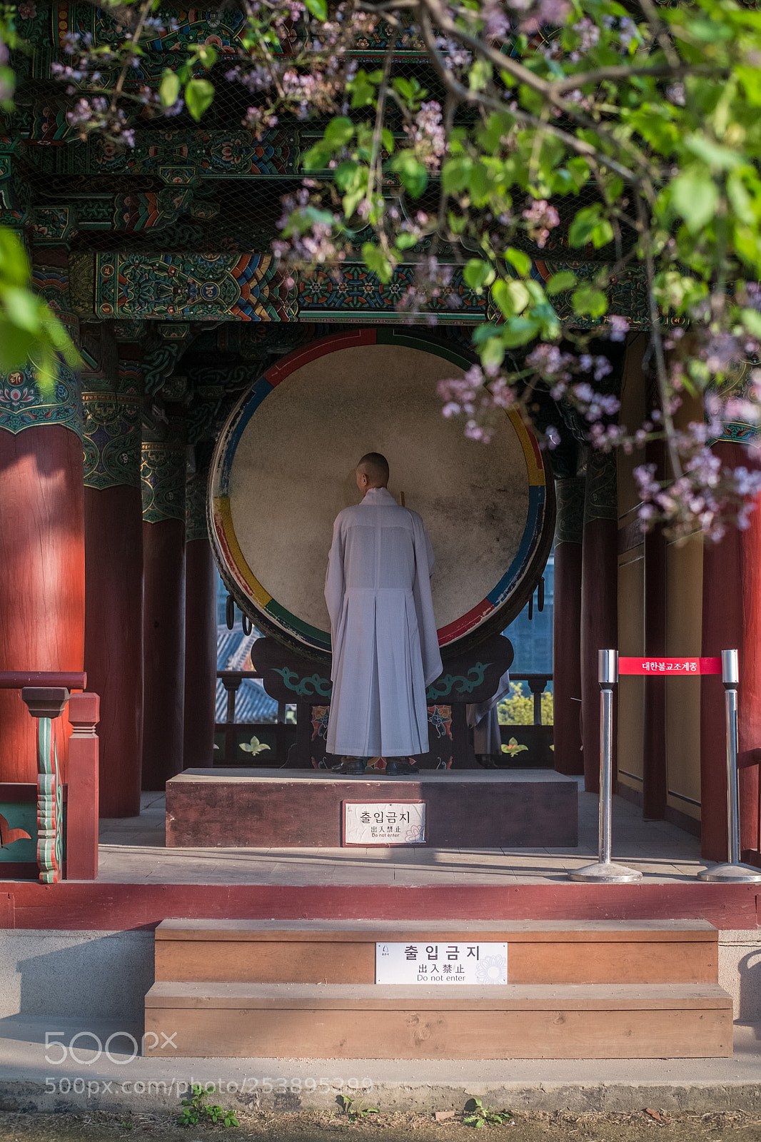 Fujifilm X-Pro1 sample photo. Buddhist photography
