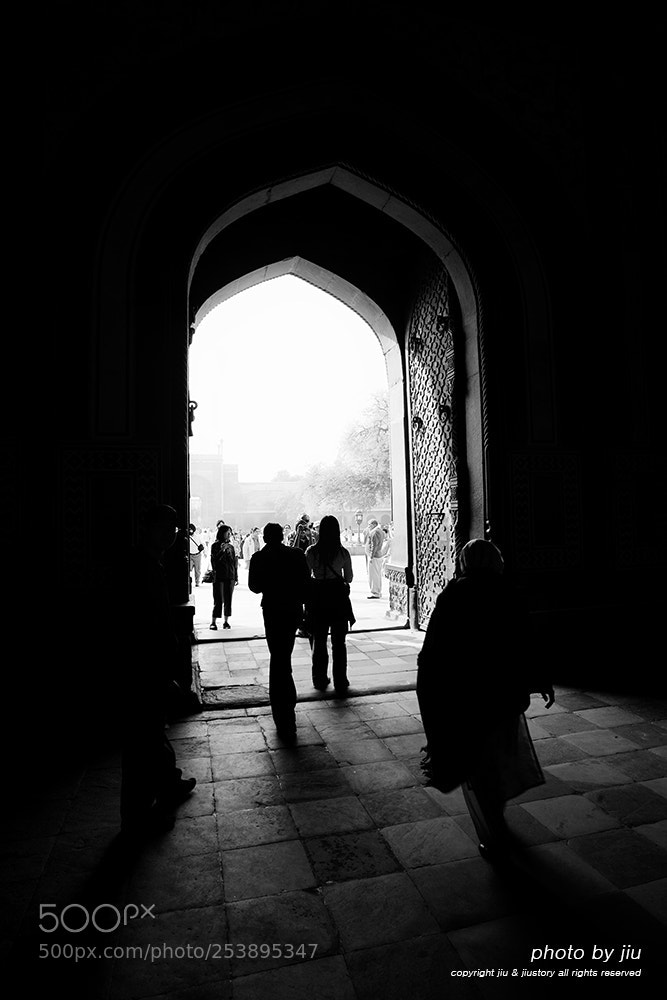 Canon EOS-1D Mark II sample photo. An overwhelming moment. photography