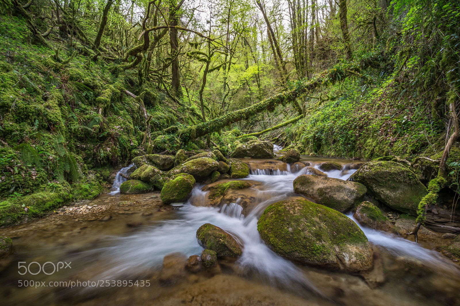 Nikon D7100 sample photo. Vercors photography