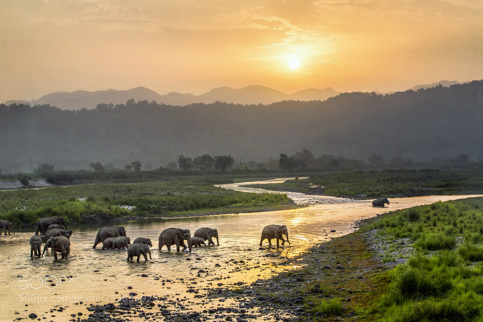 Canon EOS-1D X sample photo. Crossing the golden river photography