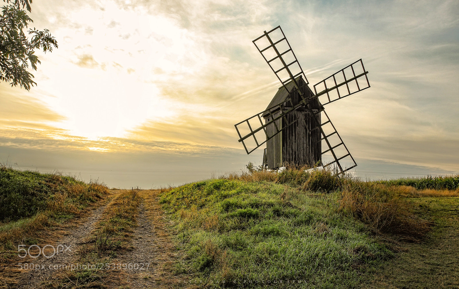 Canon EOS-1D Mark III sample photo. Country side oland photography