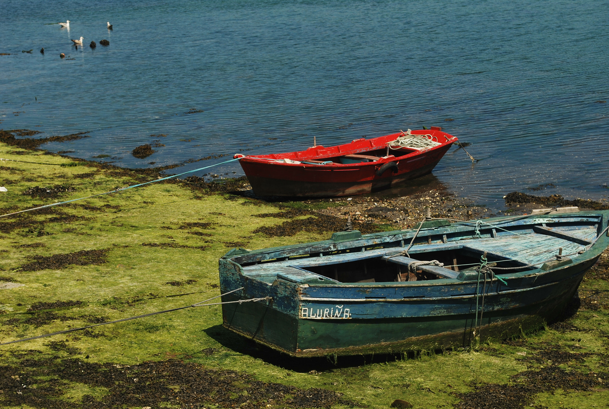 Nikon D60 sample photo. Botes en la ribera photography
