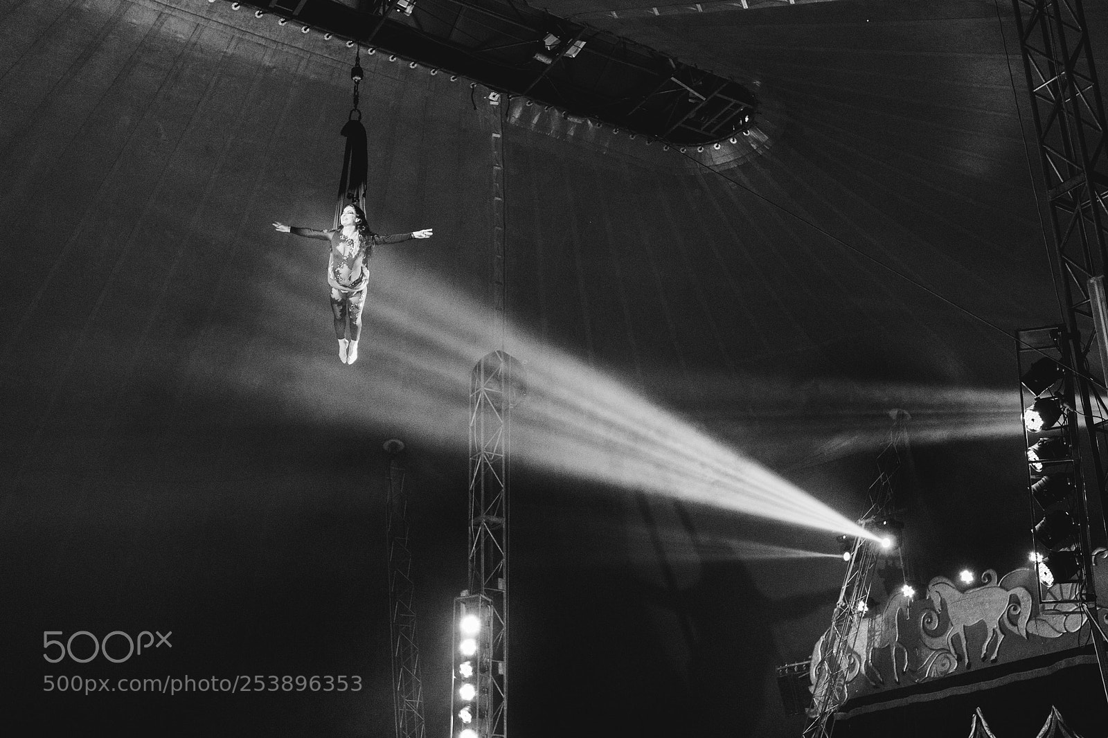 Canon EOS 5D Mark IV sample photo. The circus photography