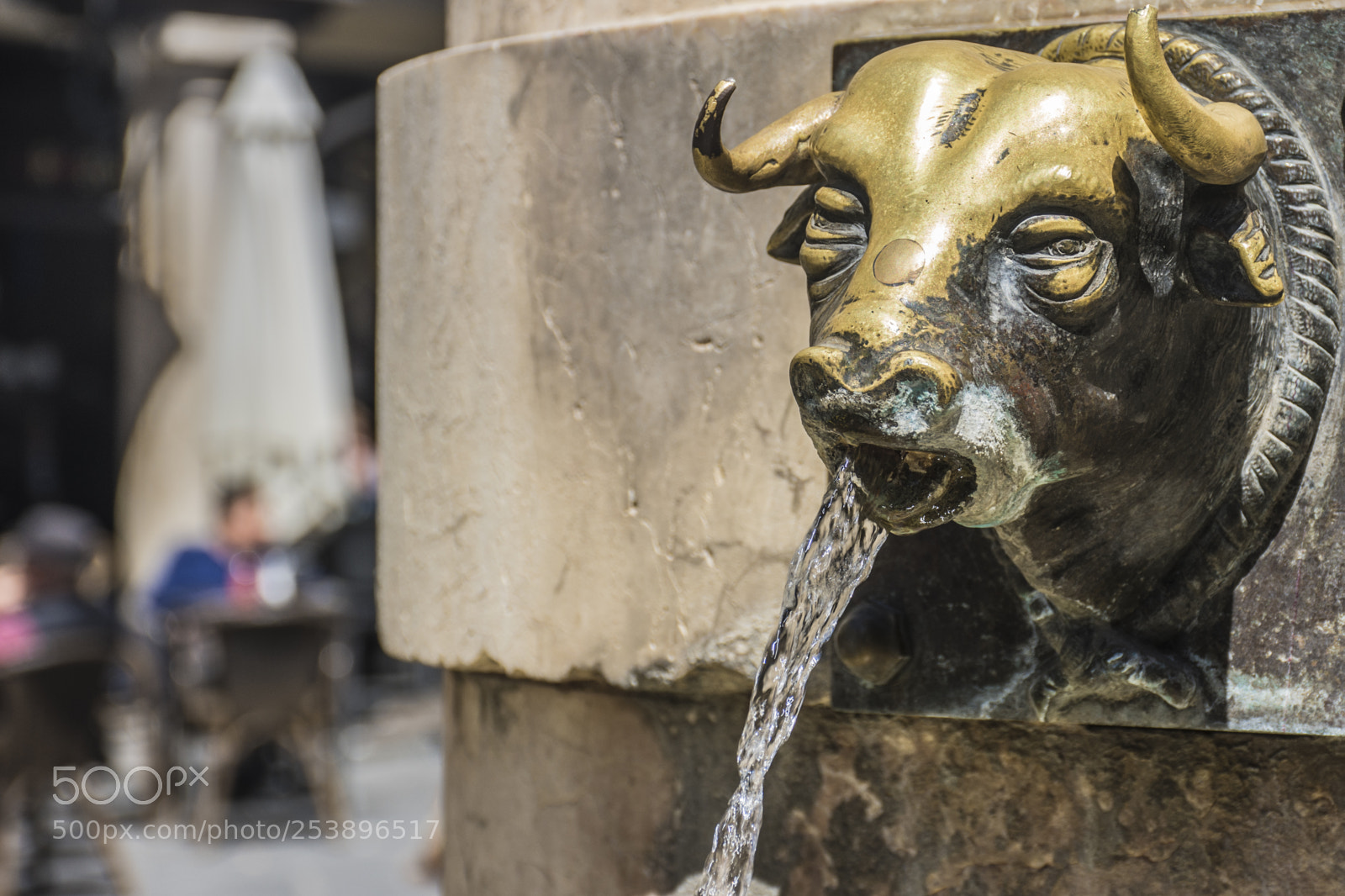 Nikon D7200 sample photo. Bull fountain photography