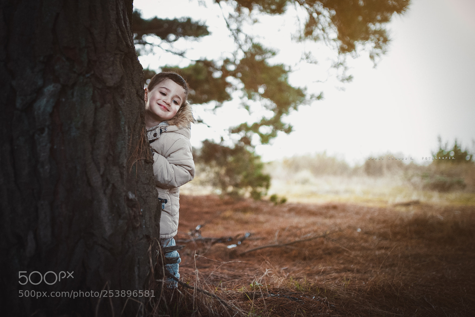 Nikon D610 sample photo. Renato photography
