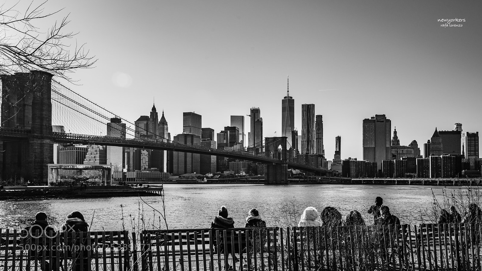 Nikon D810 sample photo. Newyorkers photography