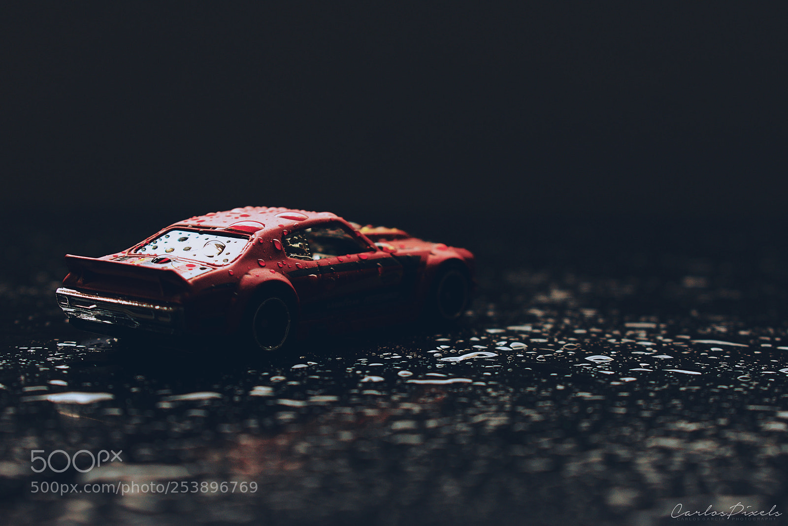 Nikon D3400 sample photo. Scale photography