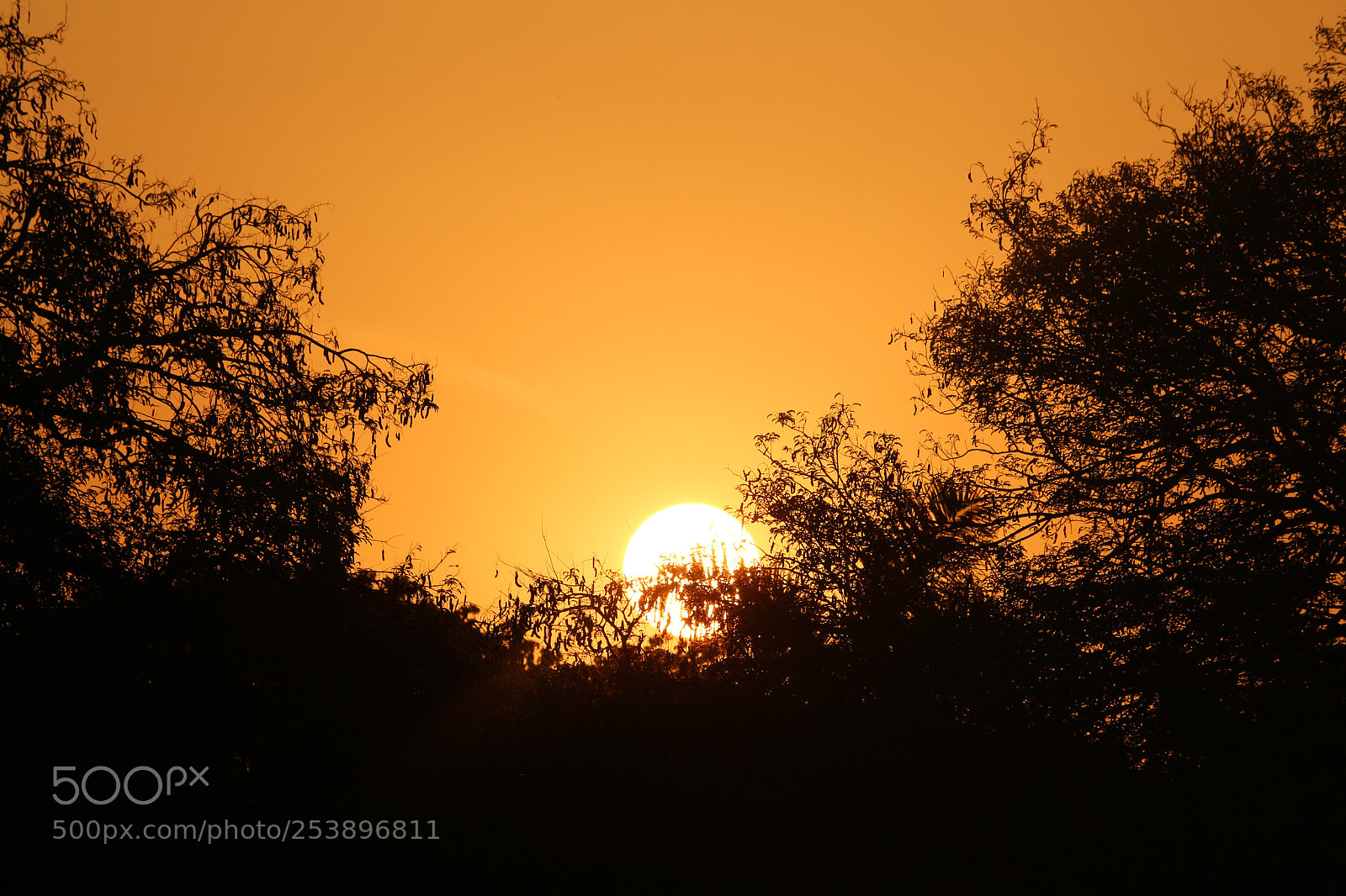 Canon EOS 700D (EOS Rebel T5i / EOS Kiss X7i) sample photo. Sunset photography