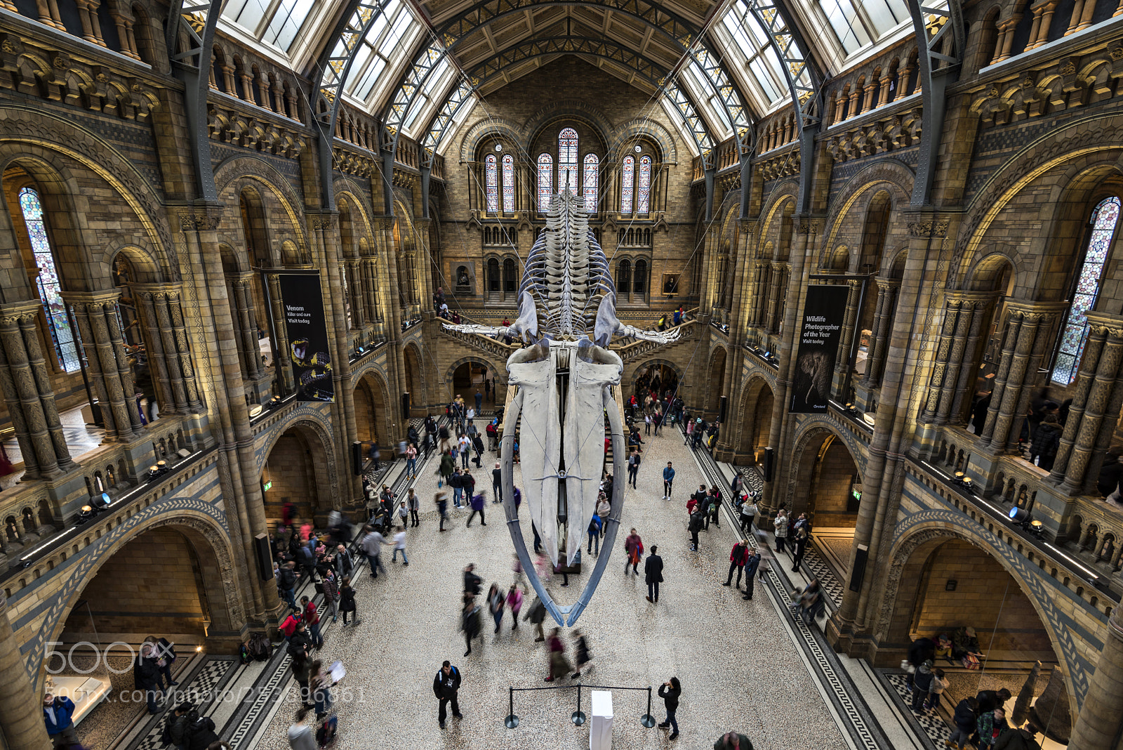 Nikon D810 sample photo. Museo de historia natural photography