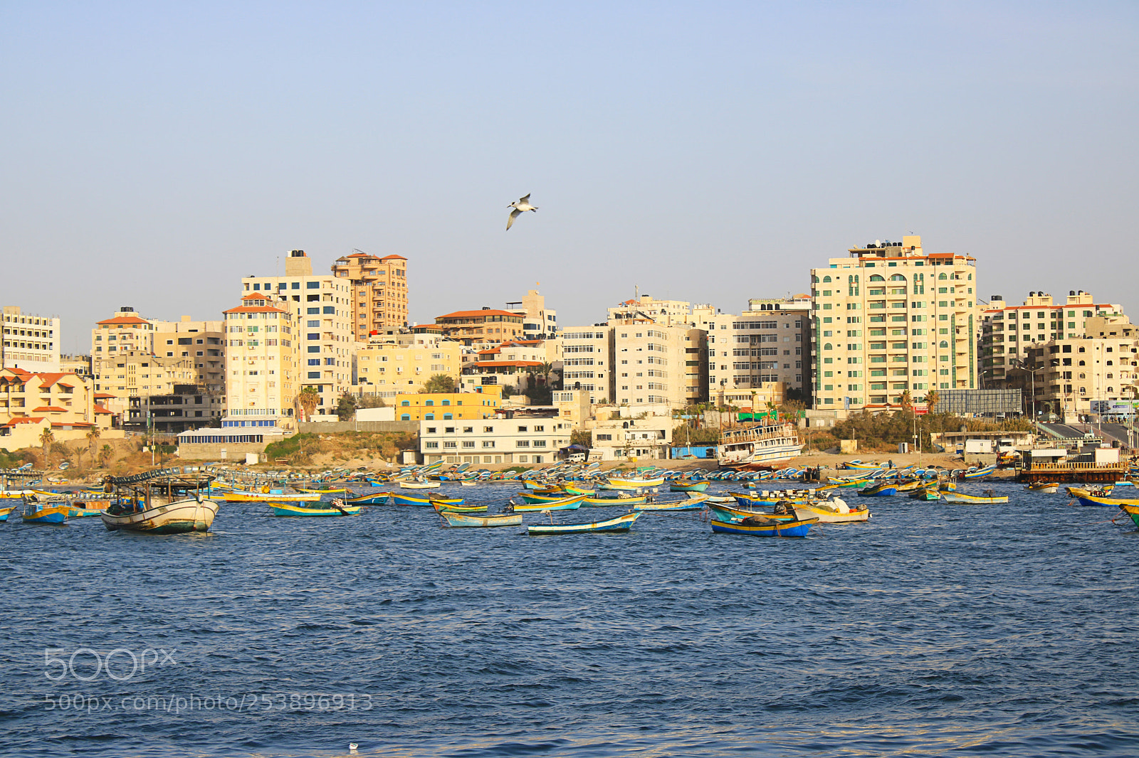 Canon EOS 750D (EOS Rebel T6i / EOS Kiss X8i) sample photo. Gaza port photography