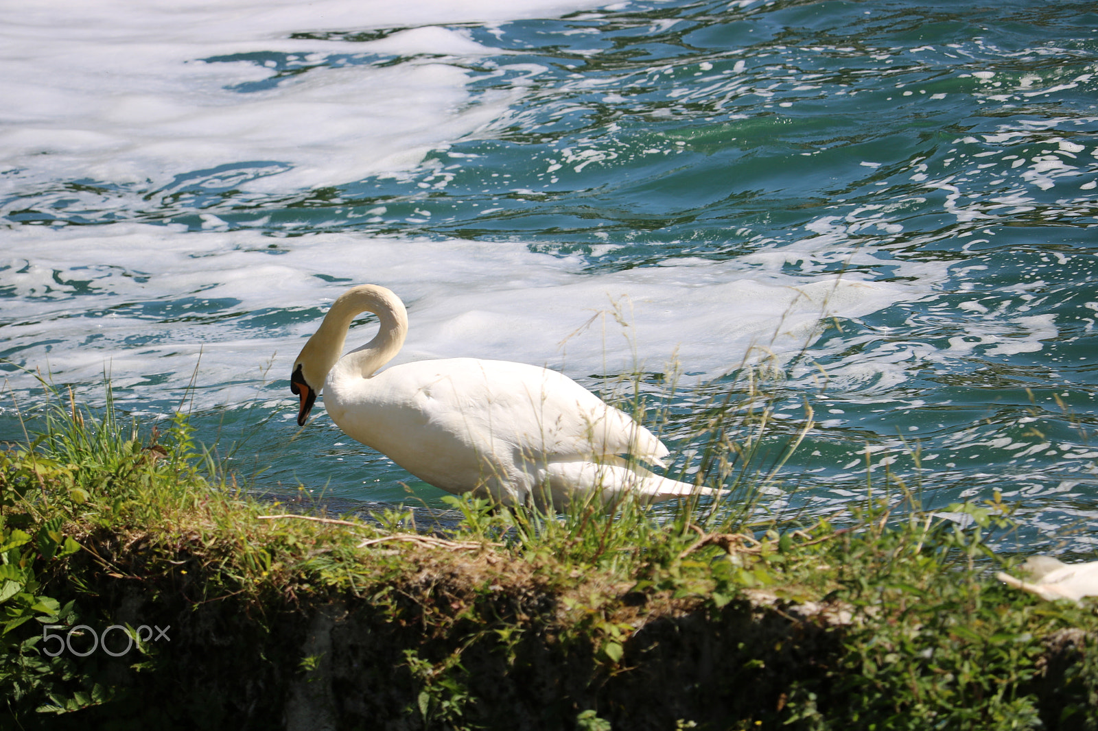 Canon EF-S 55-250mm F4-5.6 IS STM sample photo. Img photography