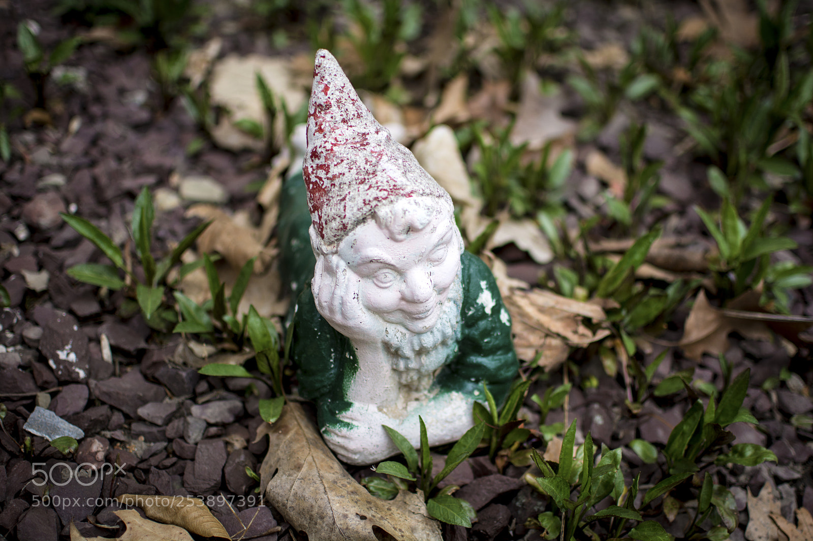 Nikon D7100 sample photo. David the gnome photography