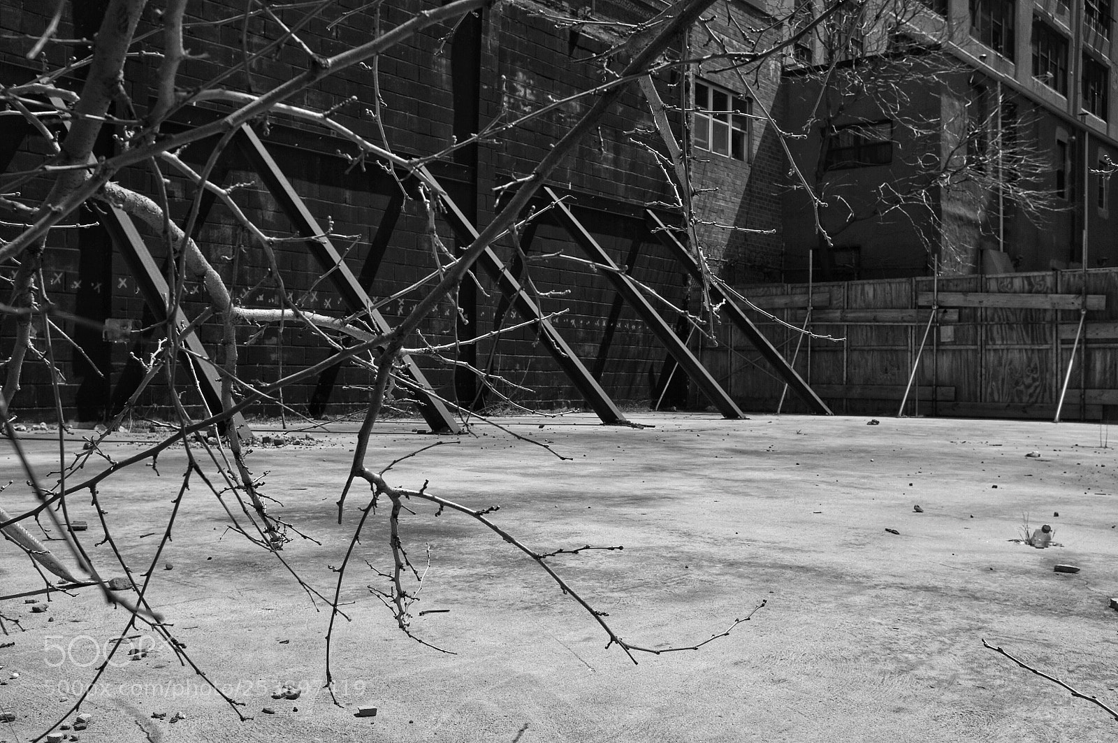 Fujifilm FinePix X100 sample photo. Lines photography