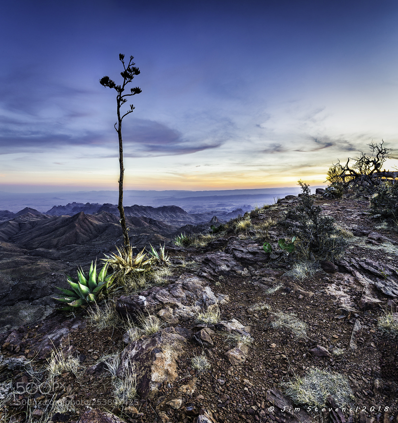 Canon EOS-1D X sample photo. Big bend national park photography