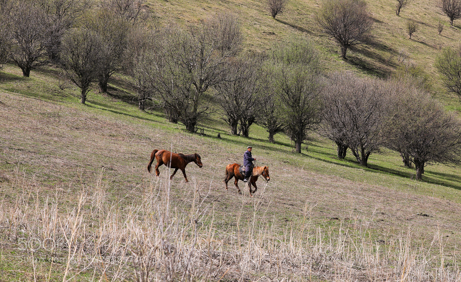 Canon EOS 5D Mark IV sample photo. Untitled photography