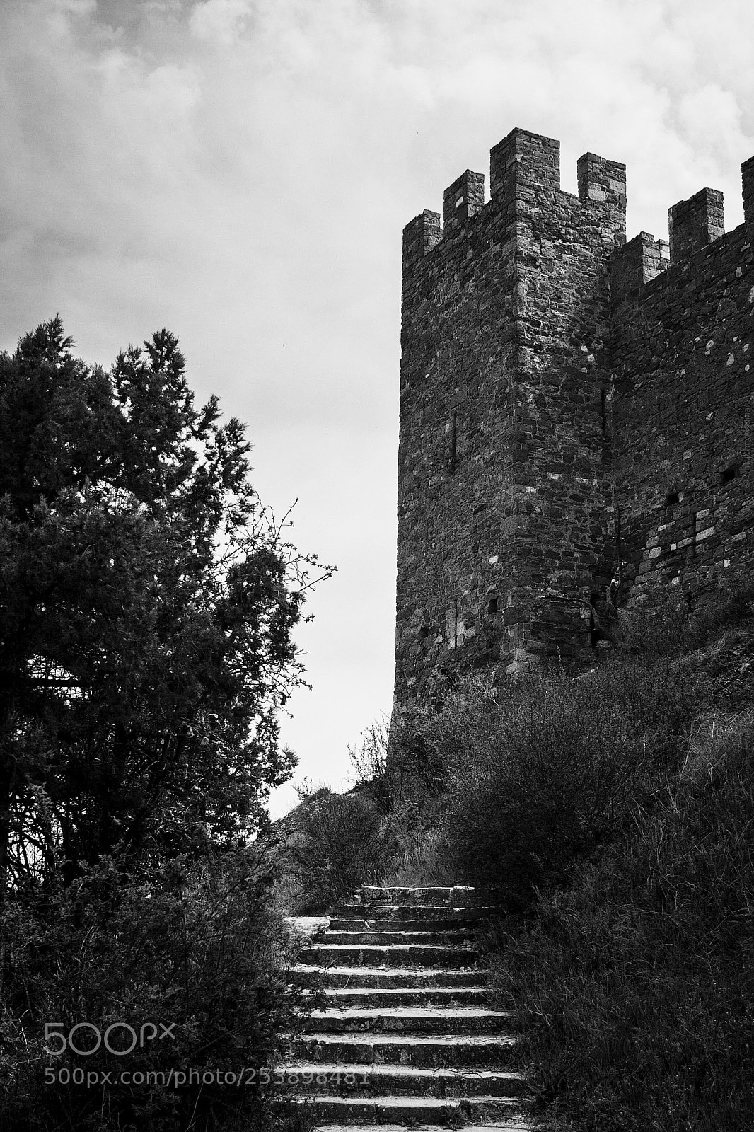 Canon EOS 350D (EOS Digital Rebel XT / EOS Kiss Digital N) sample photo. Sudak castle photography