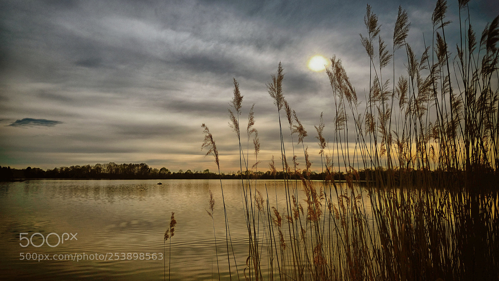 Fujifilm X-Pro2 sample photo. Silence at the lake photography