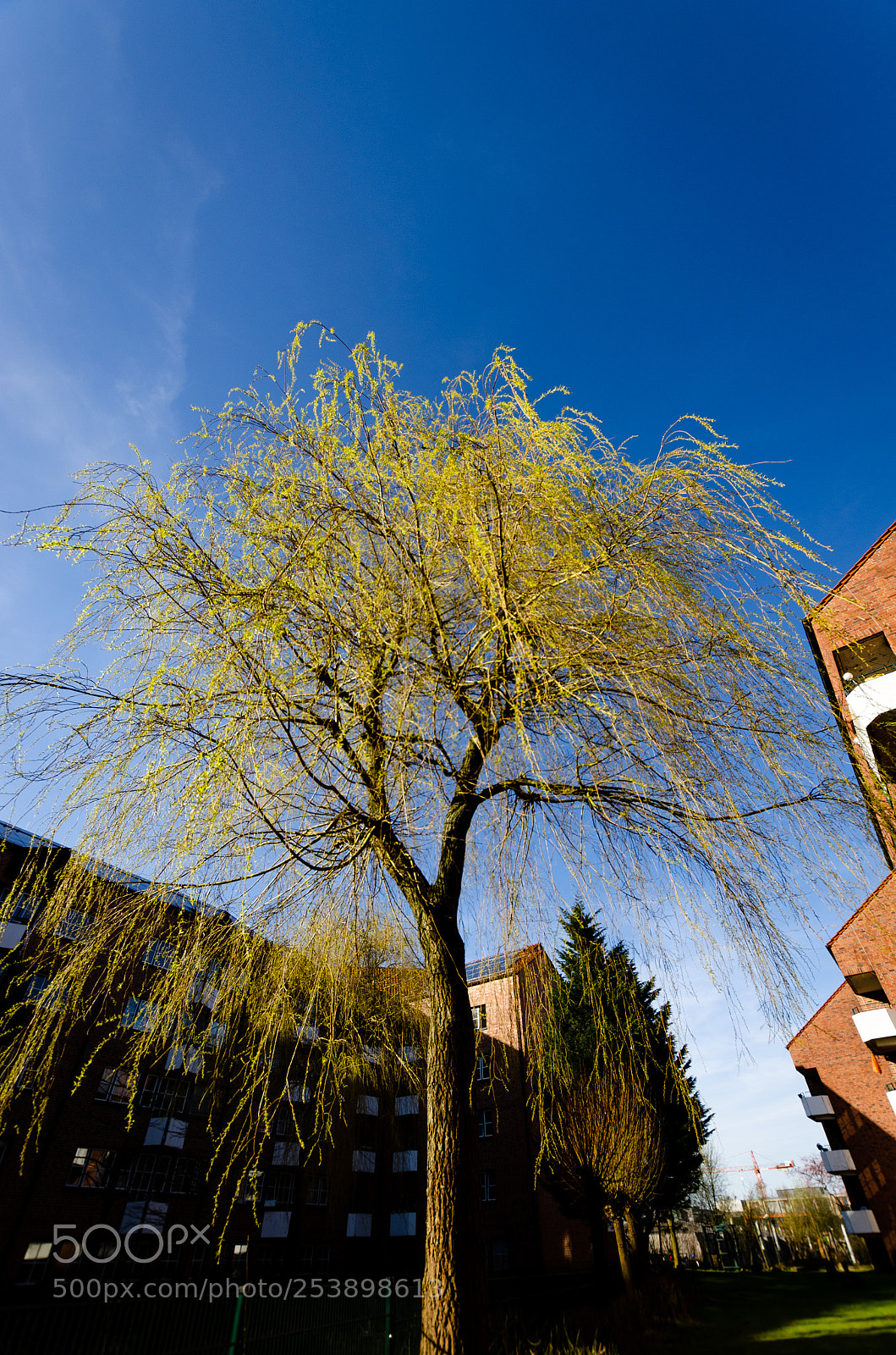 Nikon D7000 sample photo. It's getting green photography