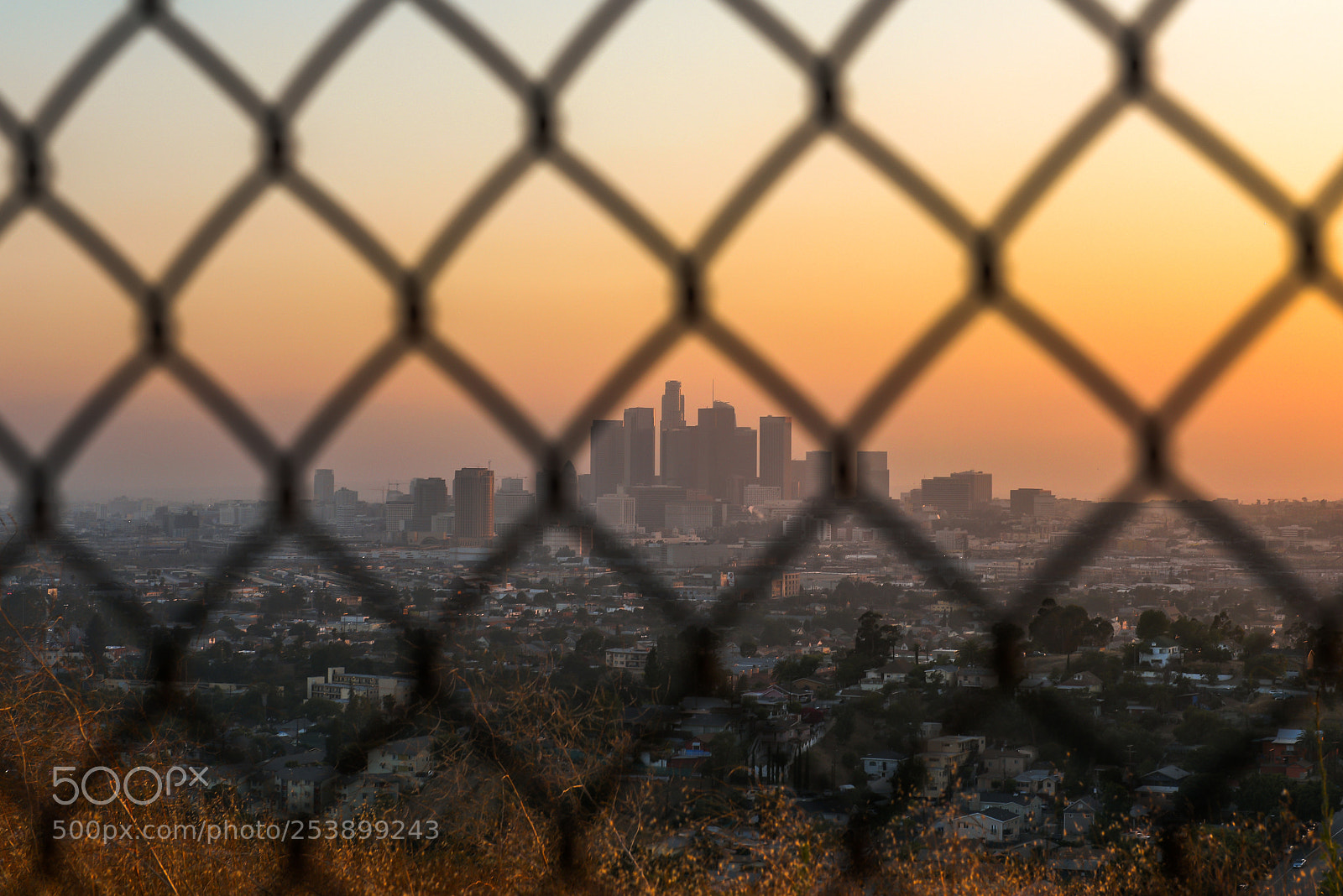 Nikon D810 sample photo. Los angeles beyond the photography