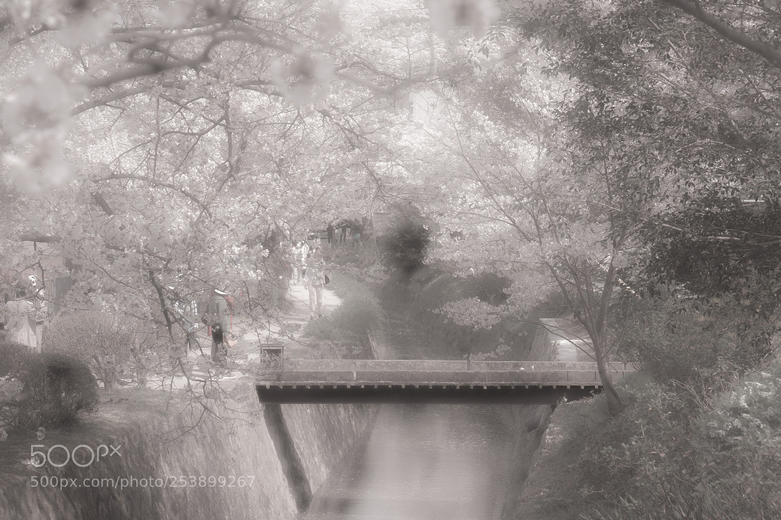 Sony a7 sample photo. Japan photography