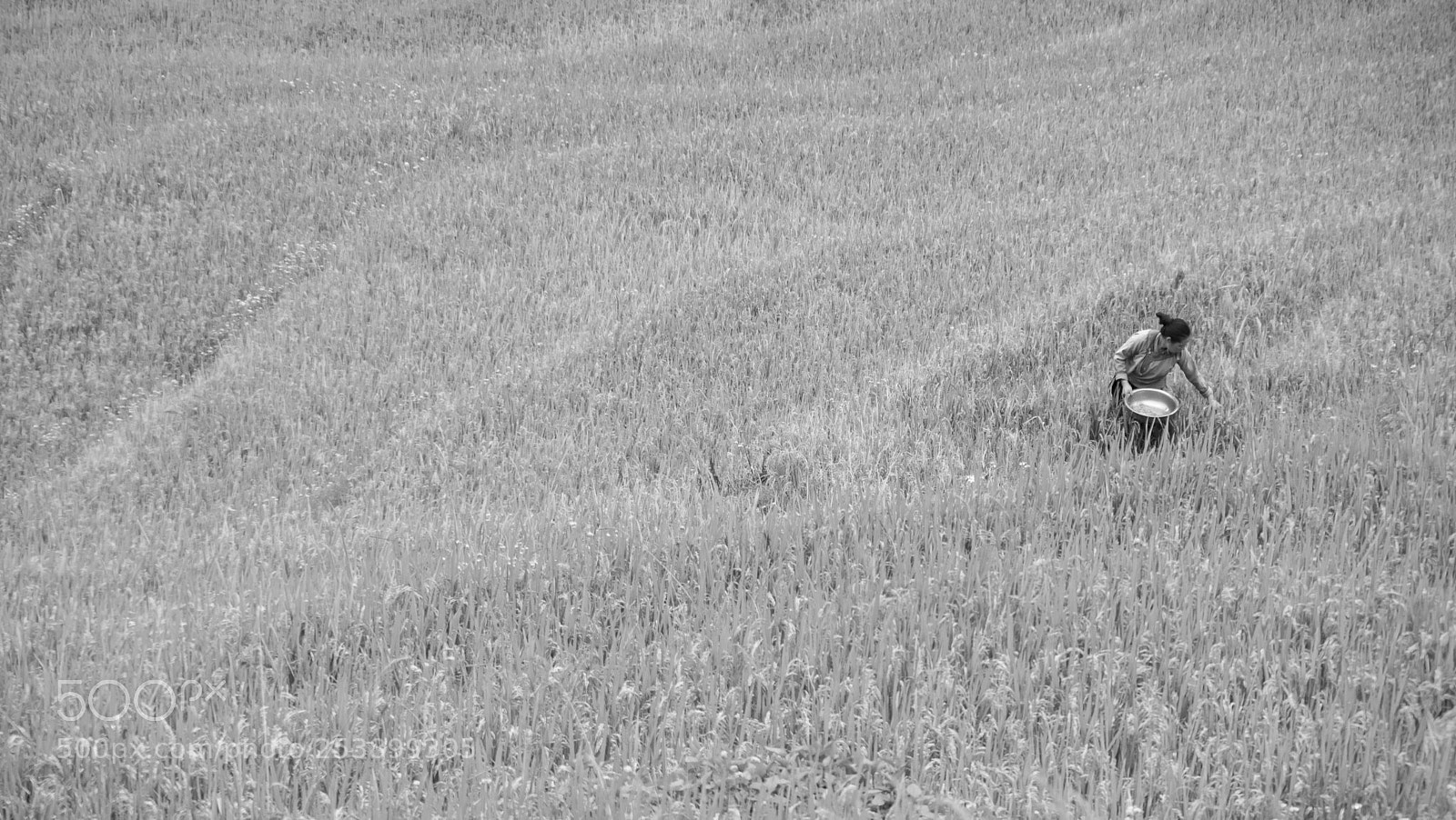 Pentax K-3 sample photo. Vietnamese woman photography