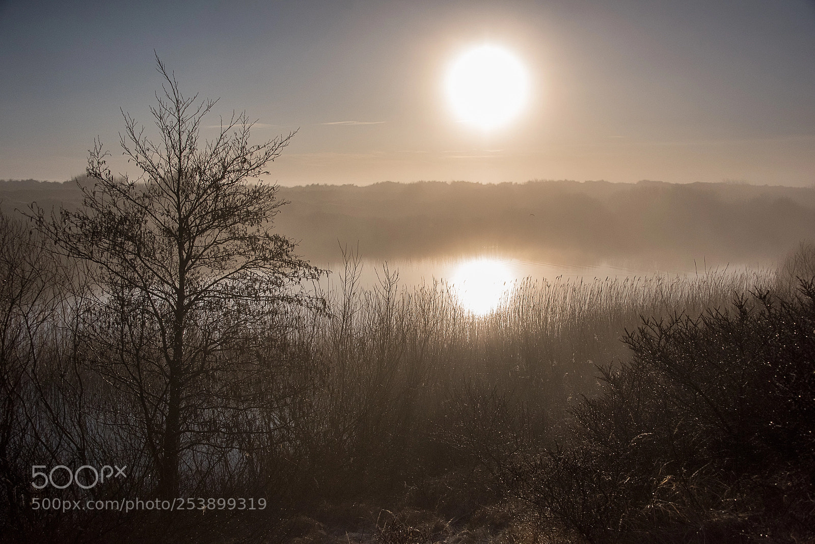 Nikon D810 sample photo. Sunrise photography