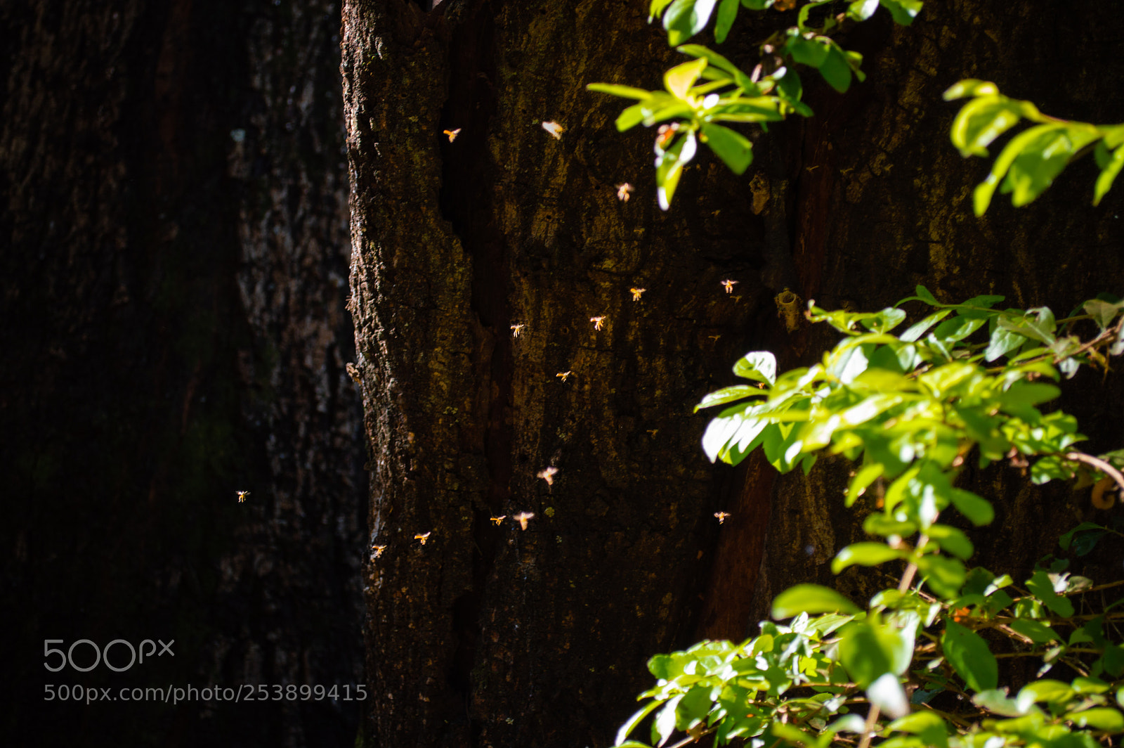 Nikon D3200 sample photo. Pontos de luz photography