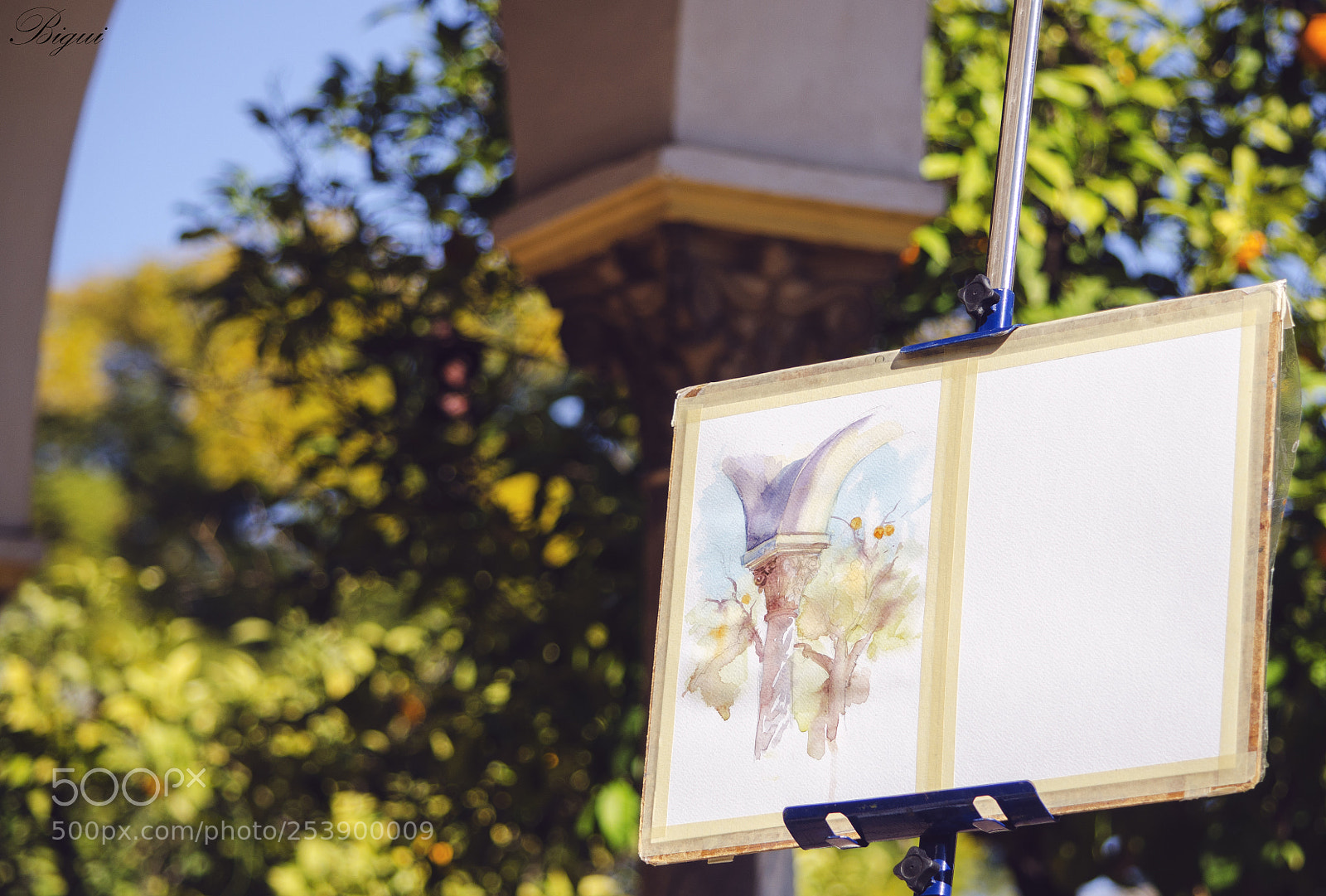 Nikon D7000 sample photo. Painting photography