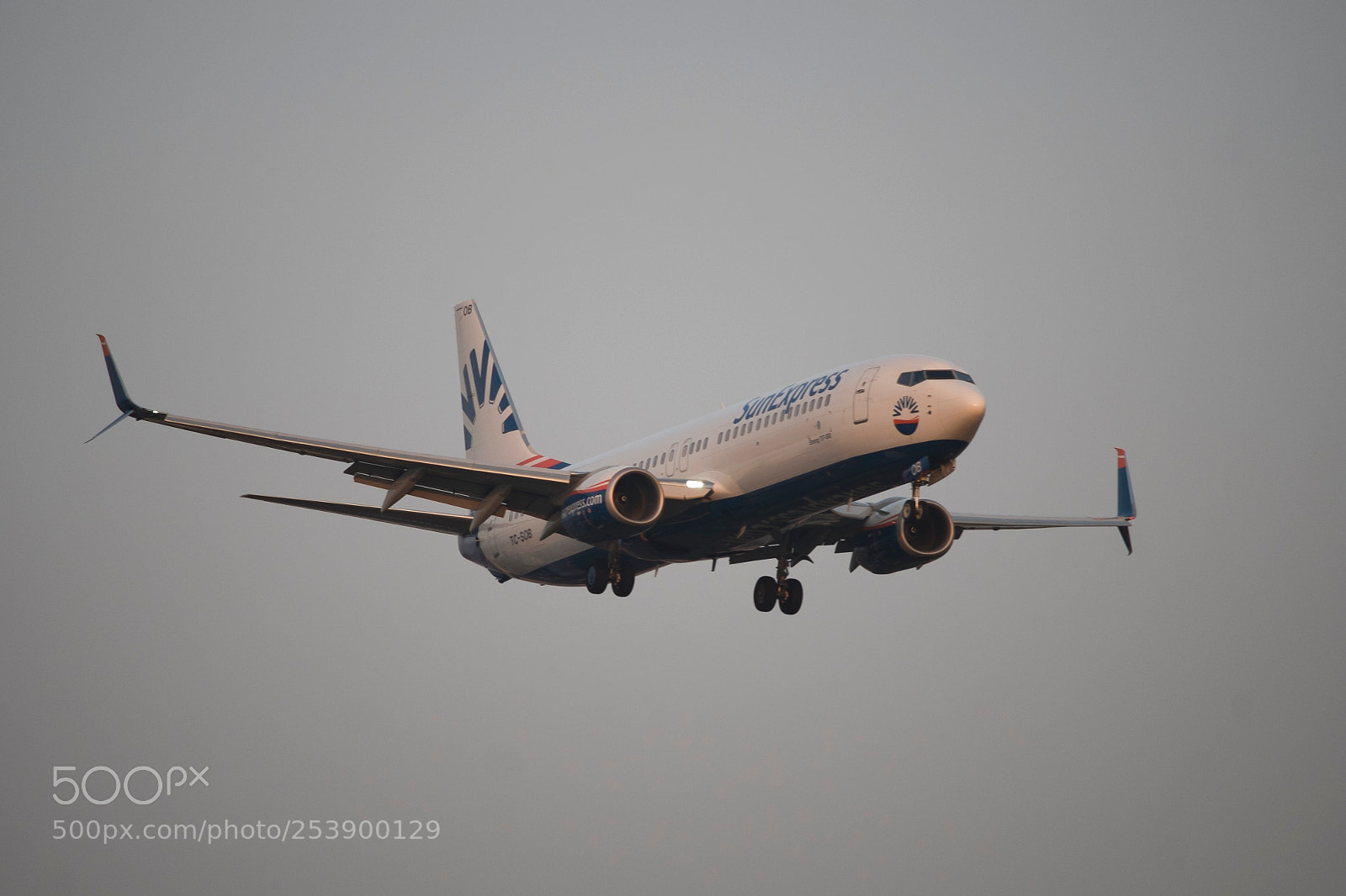 Fujifilm X-Pro1 sample photo. Airplane photography