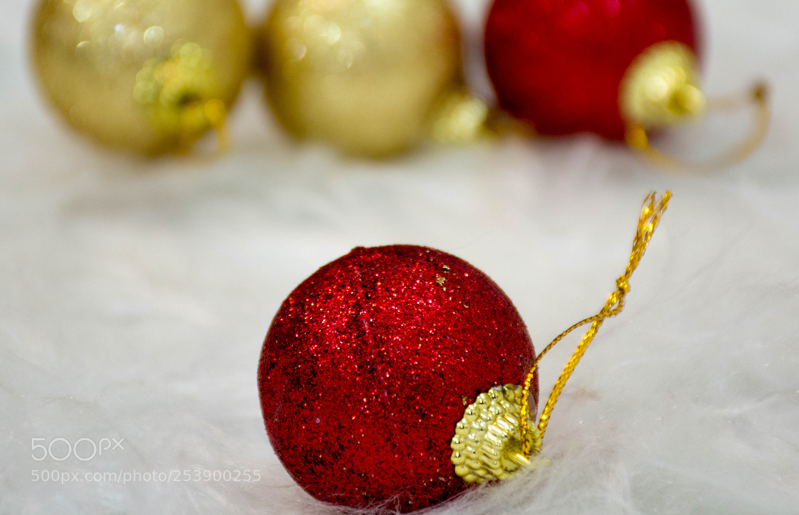Nikon D7100 sample photo. Red and golden photography