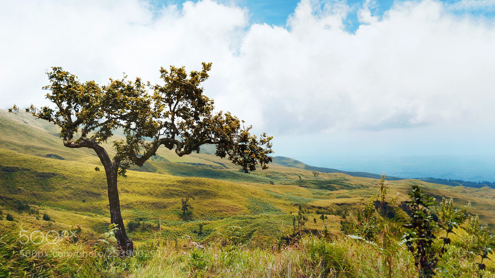 Sony a7 II sample photo. Road to rinjani photography