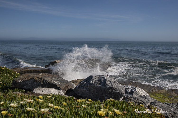 Nikon D5 sample photo. Santa cruz photography