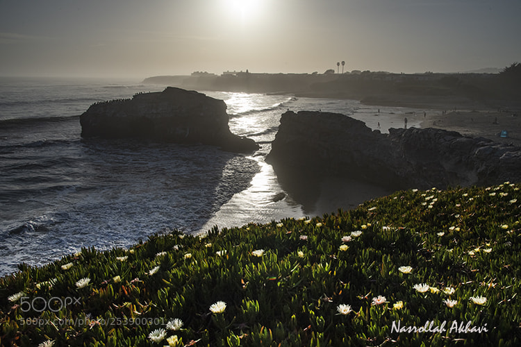Nikon D5 sample photo. Santa cruz photography