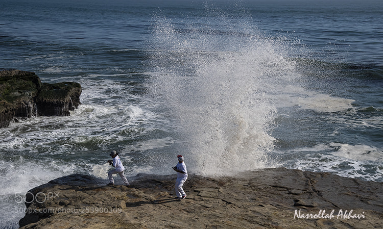 Nikon D5 sample photo. Santa cruz photography