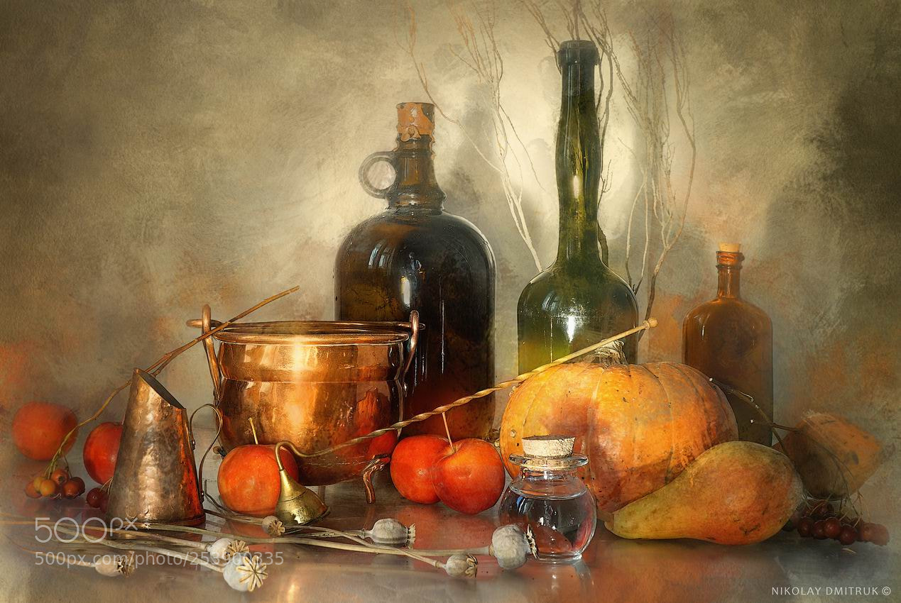 Sony a6000 sample photo. Still life with a photography