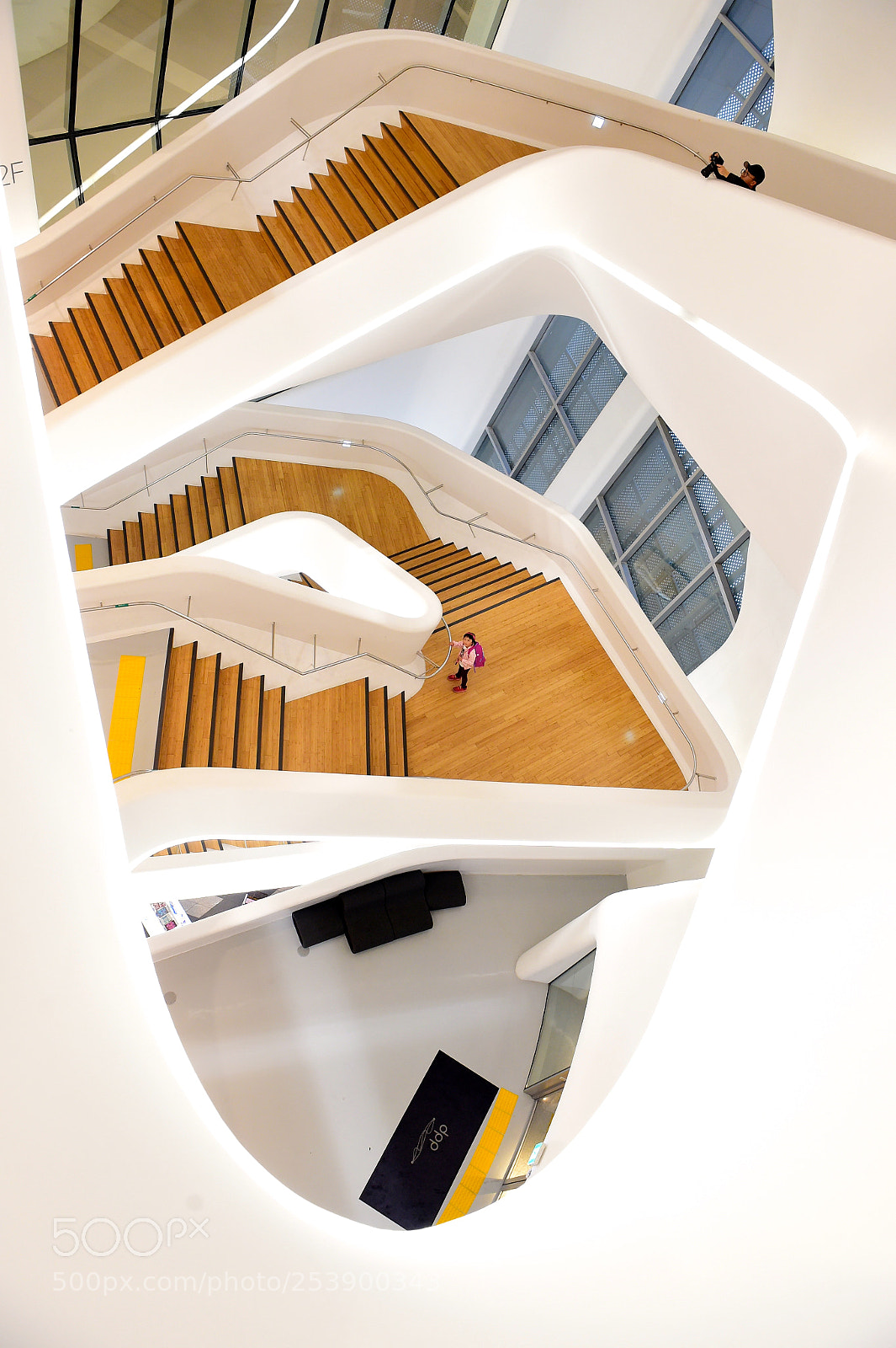 Nikon D4S sample photo. Go up or down? photography