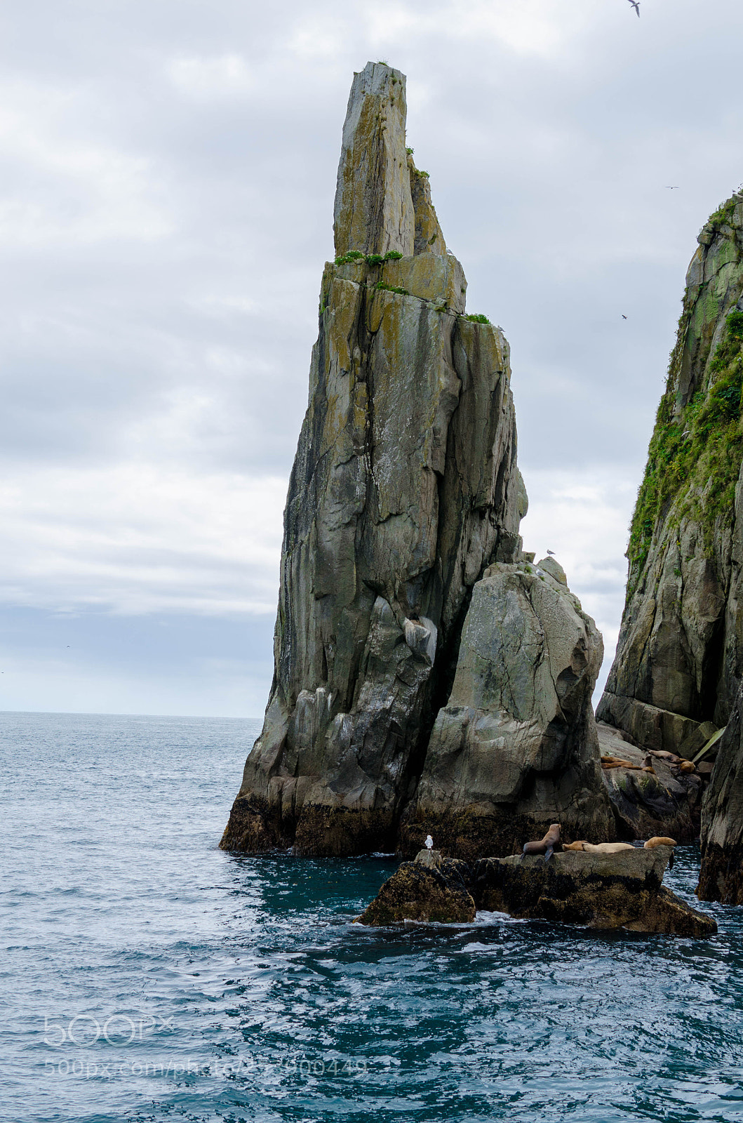Nikon D7000 sample photo. Kenai fjords national park photography