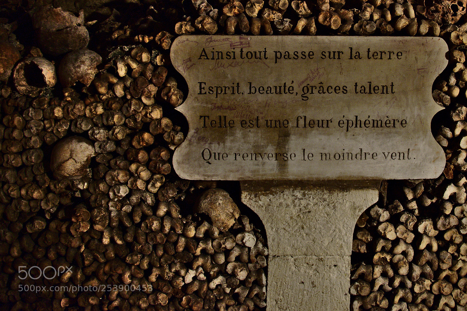 Fujifilm X-T1 sample photo. Ainsi tout passe photography