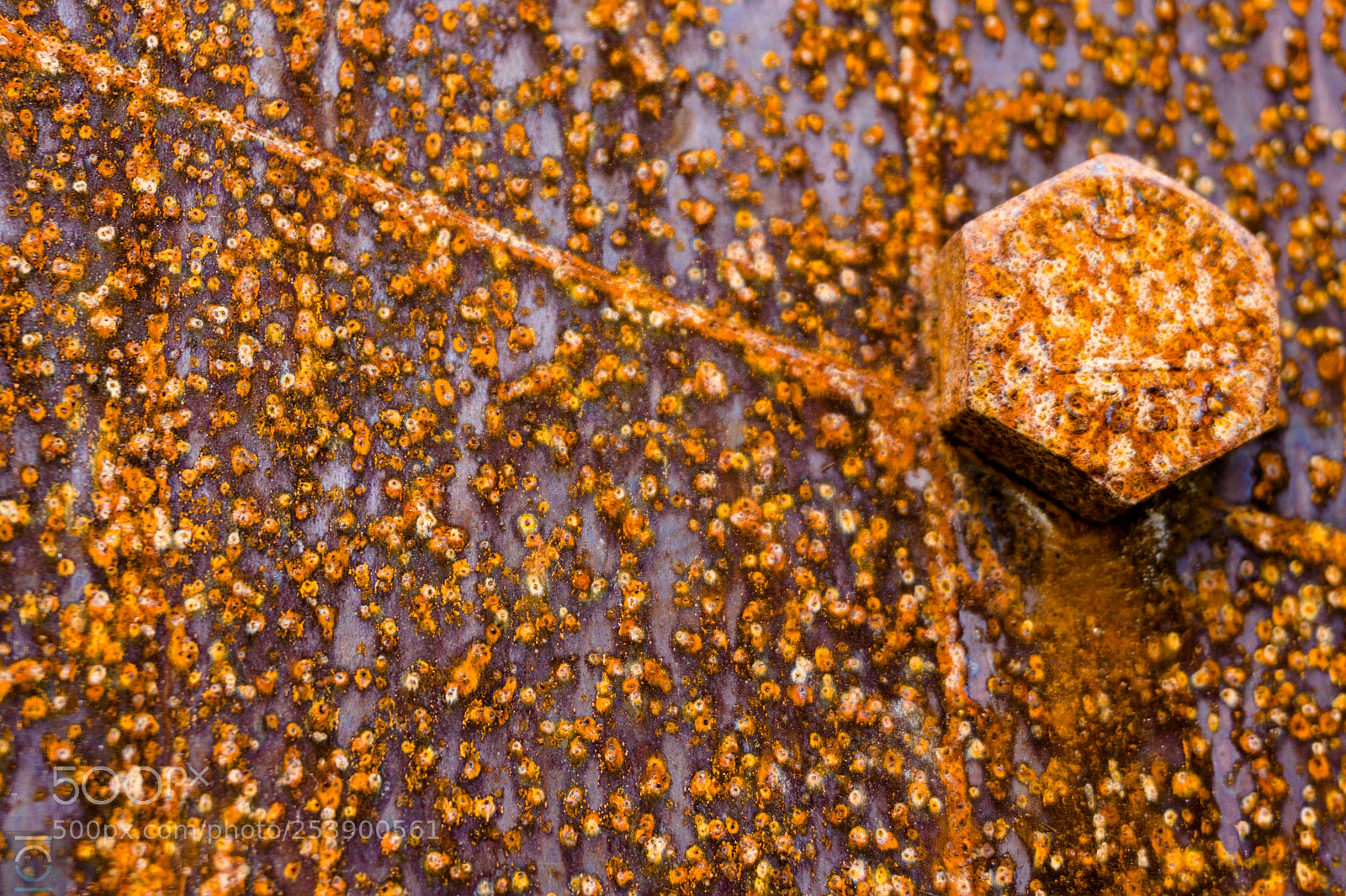 Sony a6000 sample photo. Artistic rust photography