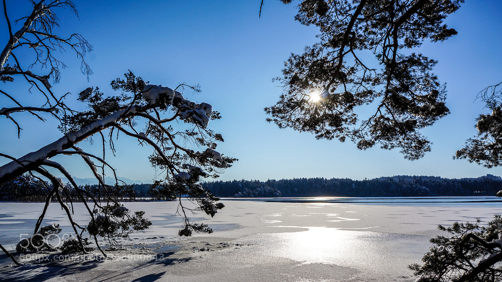Sony Alpha NEX-5N sample photo. Winter harmony photography