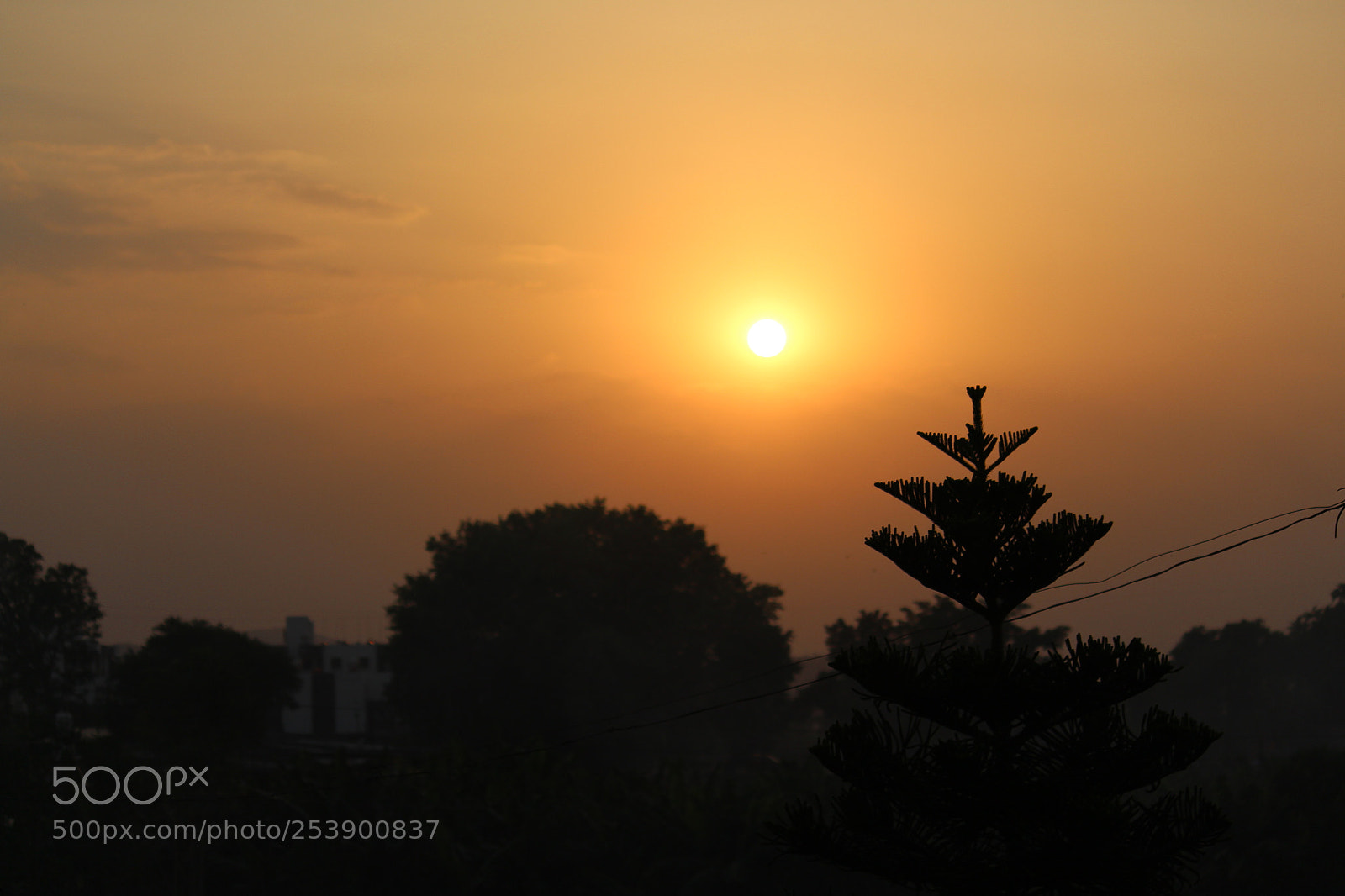 Canon EF-S 55-250mm F4-5.6 IS II sample photo. Img photography