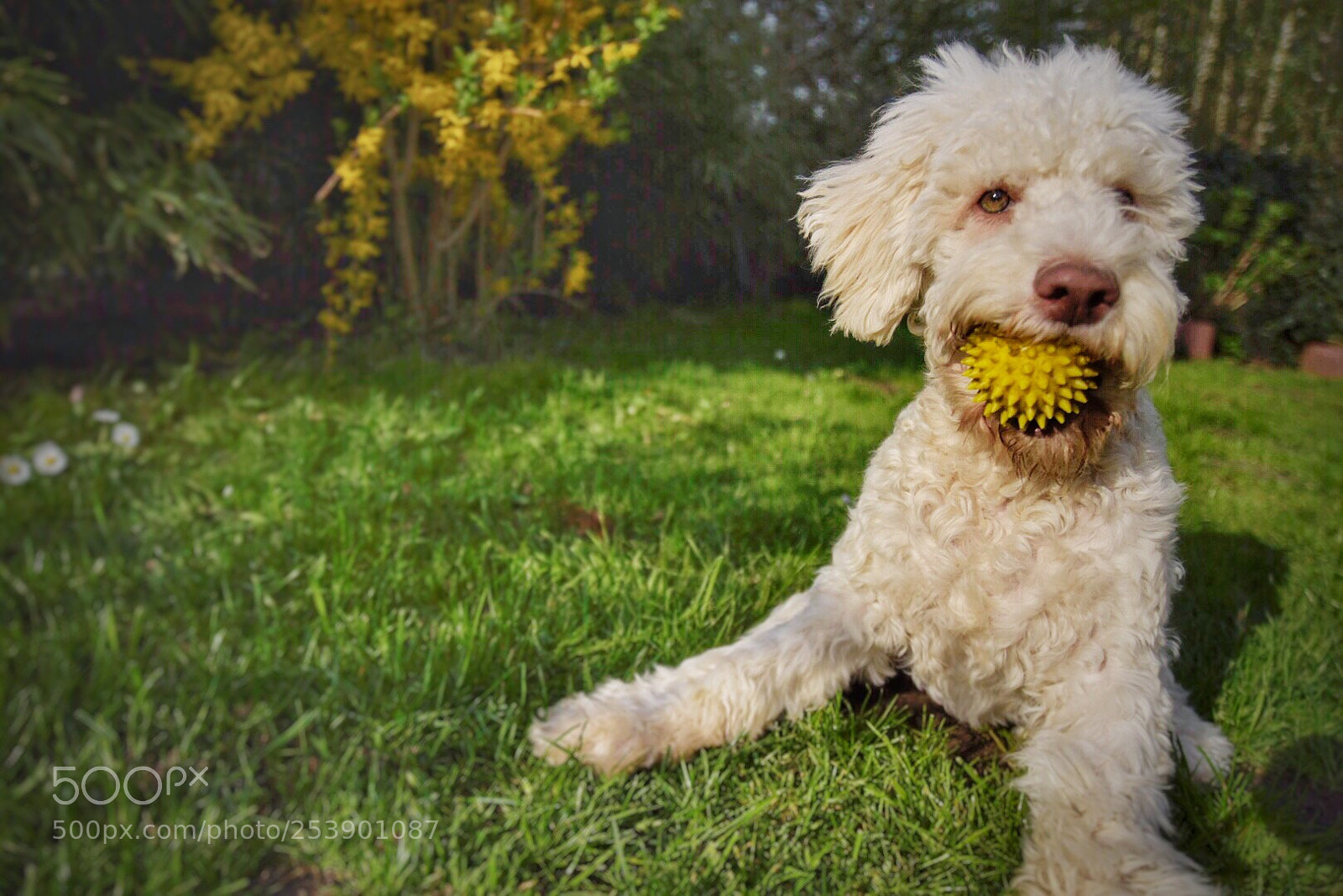 Nikon D7200 sample photo. Untitled photography