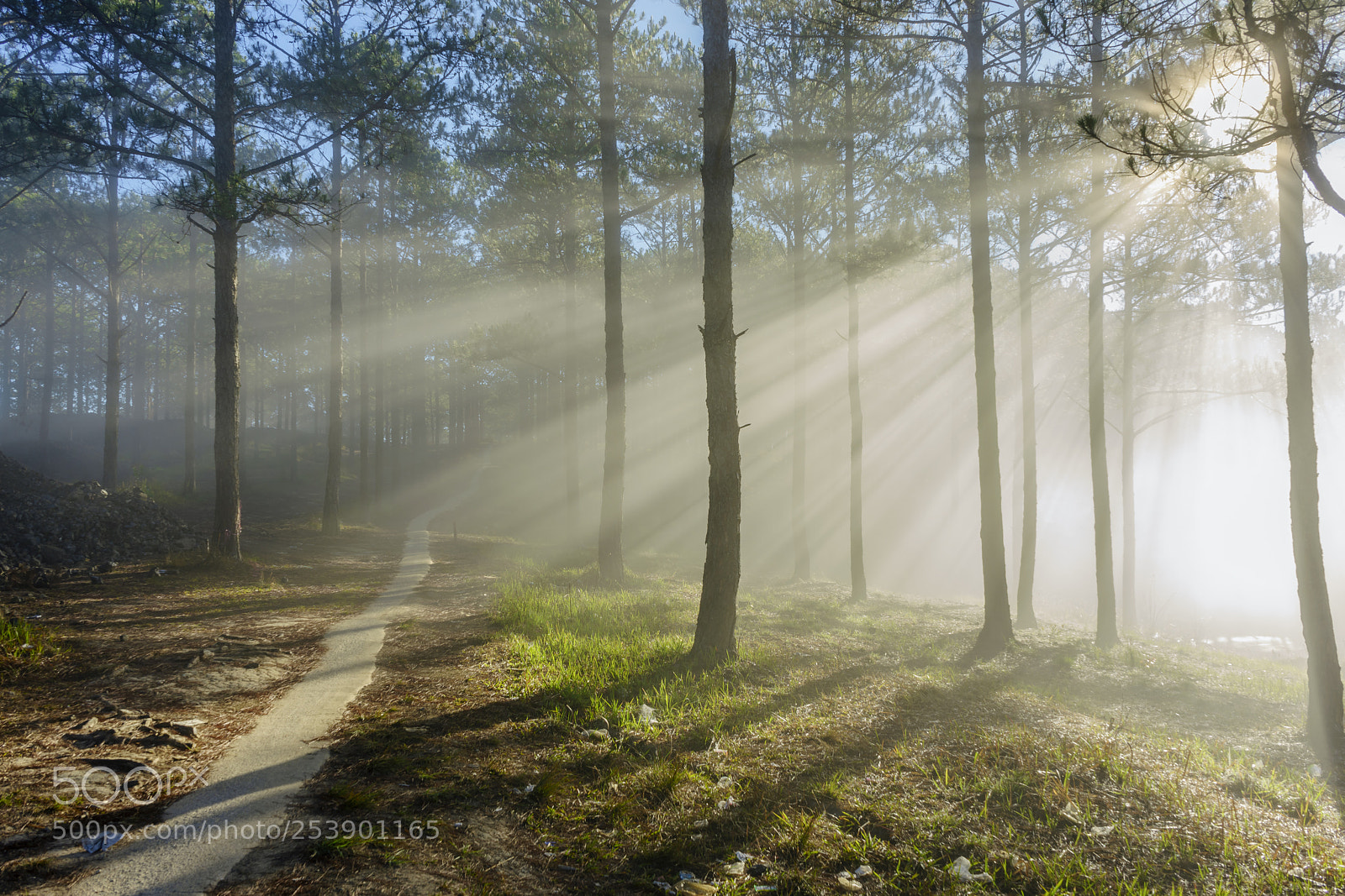 Sony a7 II sample photo. Dsc photography