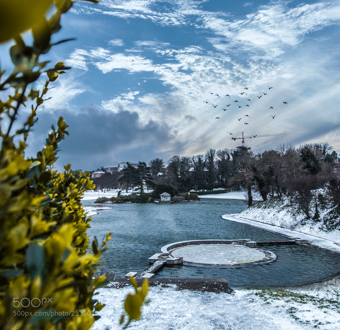 Canon EOS 6D sample photo. Frozen dublin photography