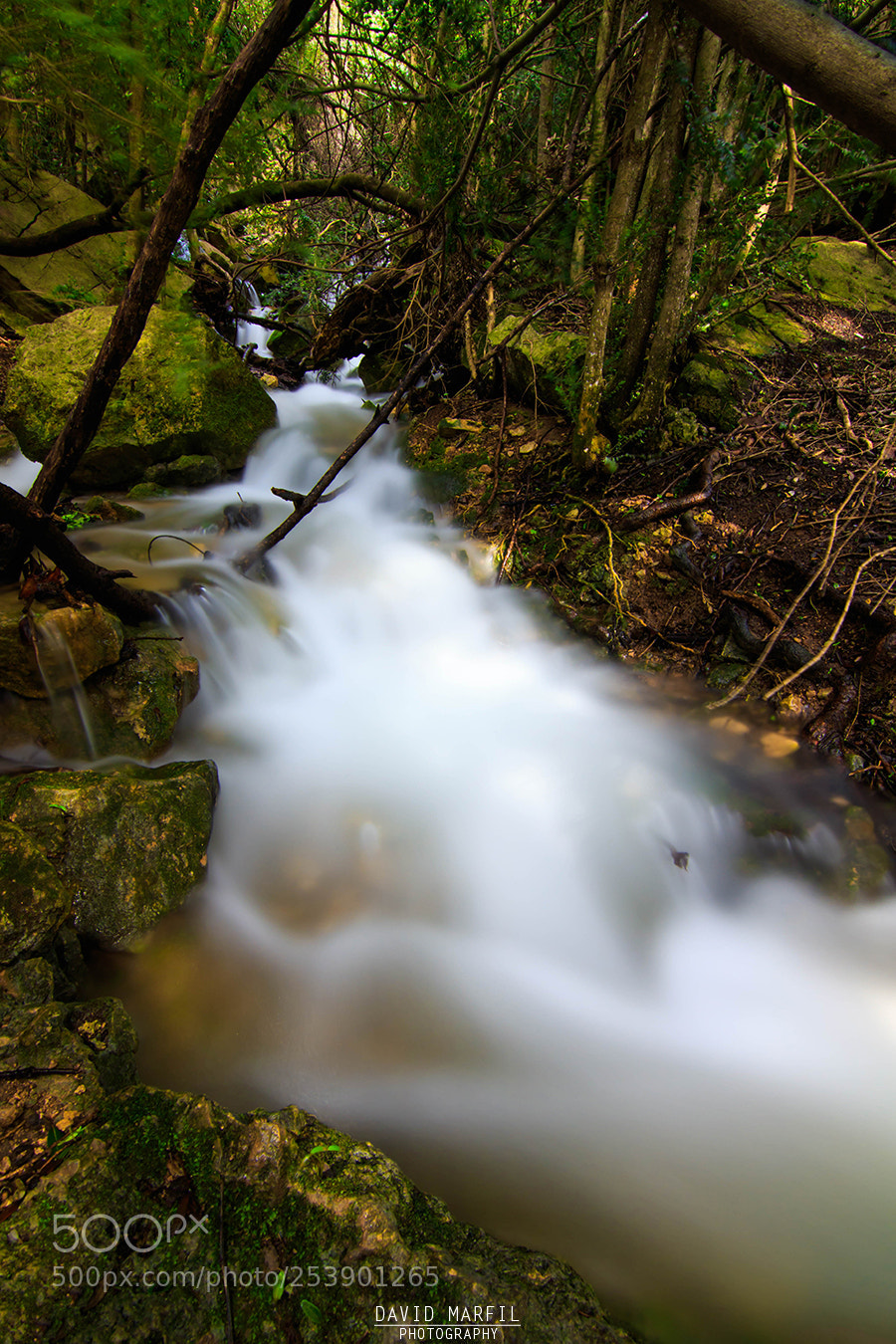 Canon EOS 7D Mark II sample photo. La font de la photography
