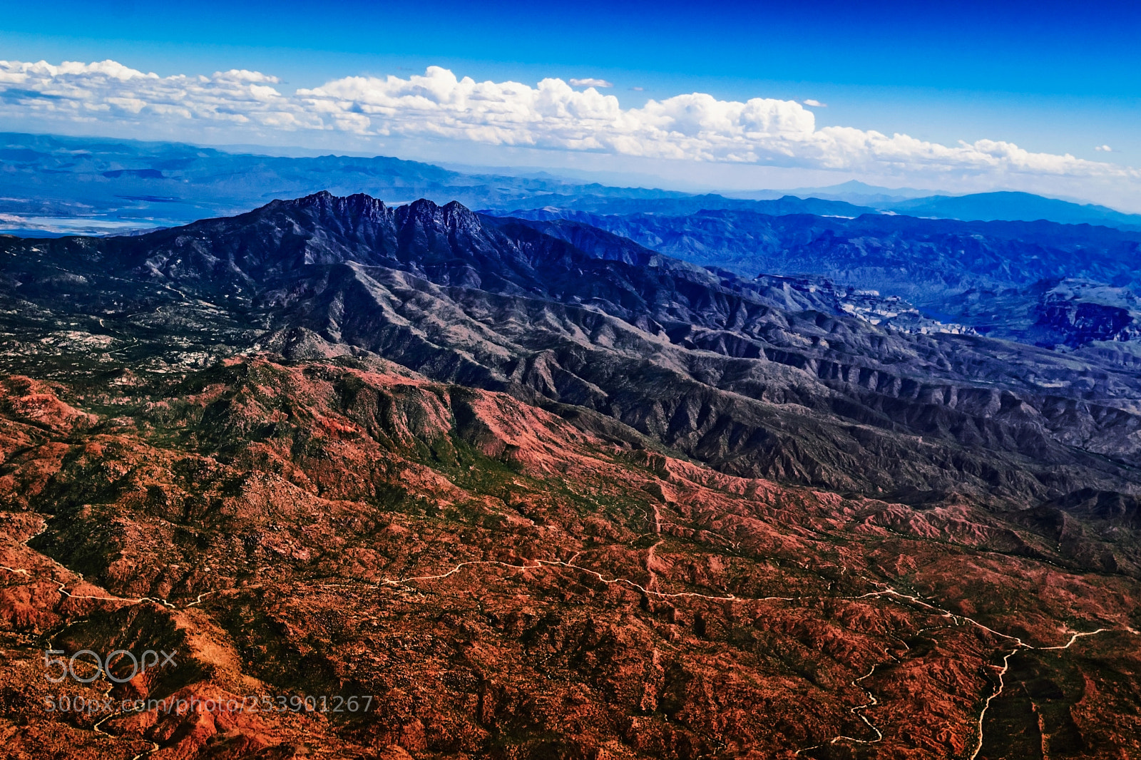 Nikon D5300 sample photo. Arizona photography