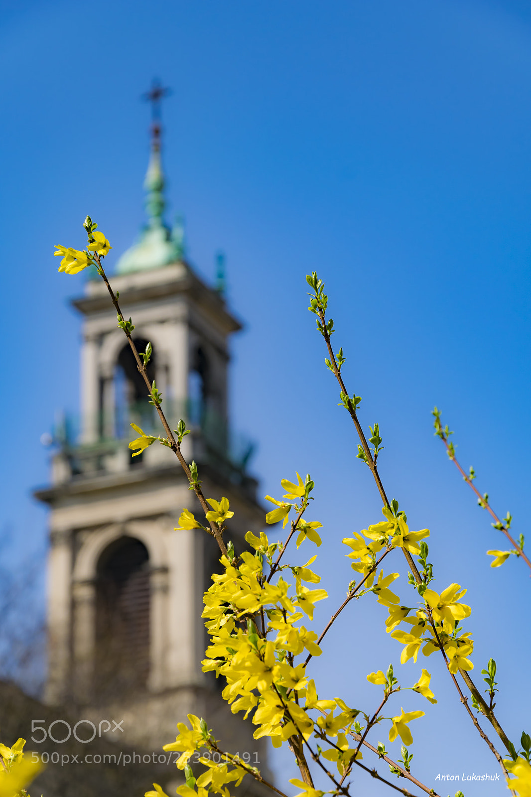 Nikon D5300 sample photo. Ko ci wszystkich wi photography