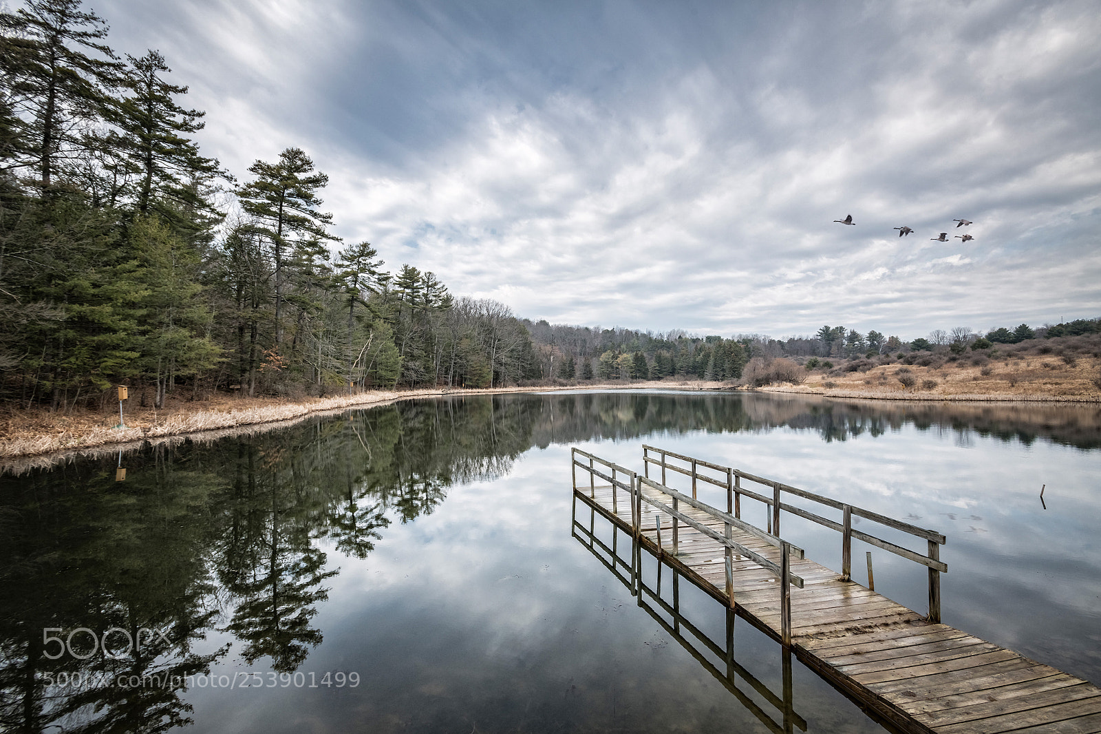 Nikon D850 sample photo. Cloudy day in amelia photography